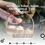 Foto thumbnail Tipe Telur Ayam dari Cage Free sampai Pasteurized