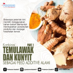 Foto thumbnail  Kombinasi Temulawak Dan Kunyit Sebagai Feed Additive Alami, Part 1