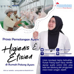 Foto thumbnail Proses Pemotongan Ayam yang Higienis dan Efisien di RPA