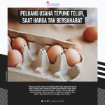 Foto thumbnail Peluang Usaha Tepung Telur, Saat Harga Tak Bersahabat