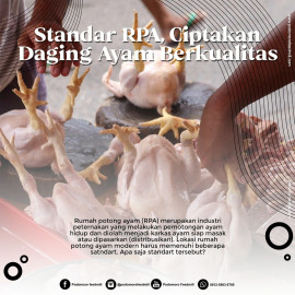 Foto thumbnail Standar RPA, Ciptakan Daging Ayam Berkualitas