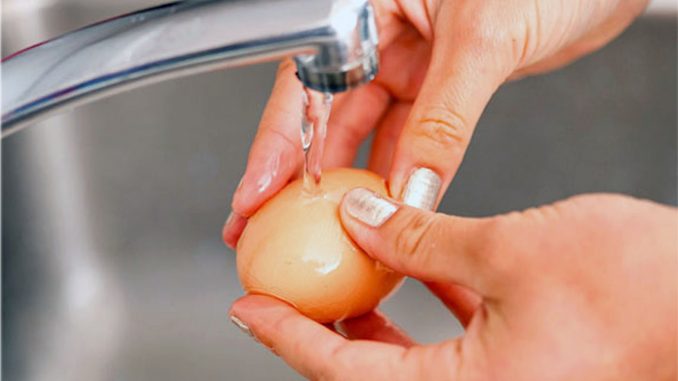 Mencuci Telur
