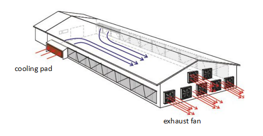 closed house menggunakan cooling pad