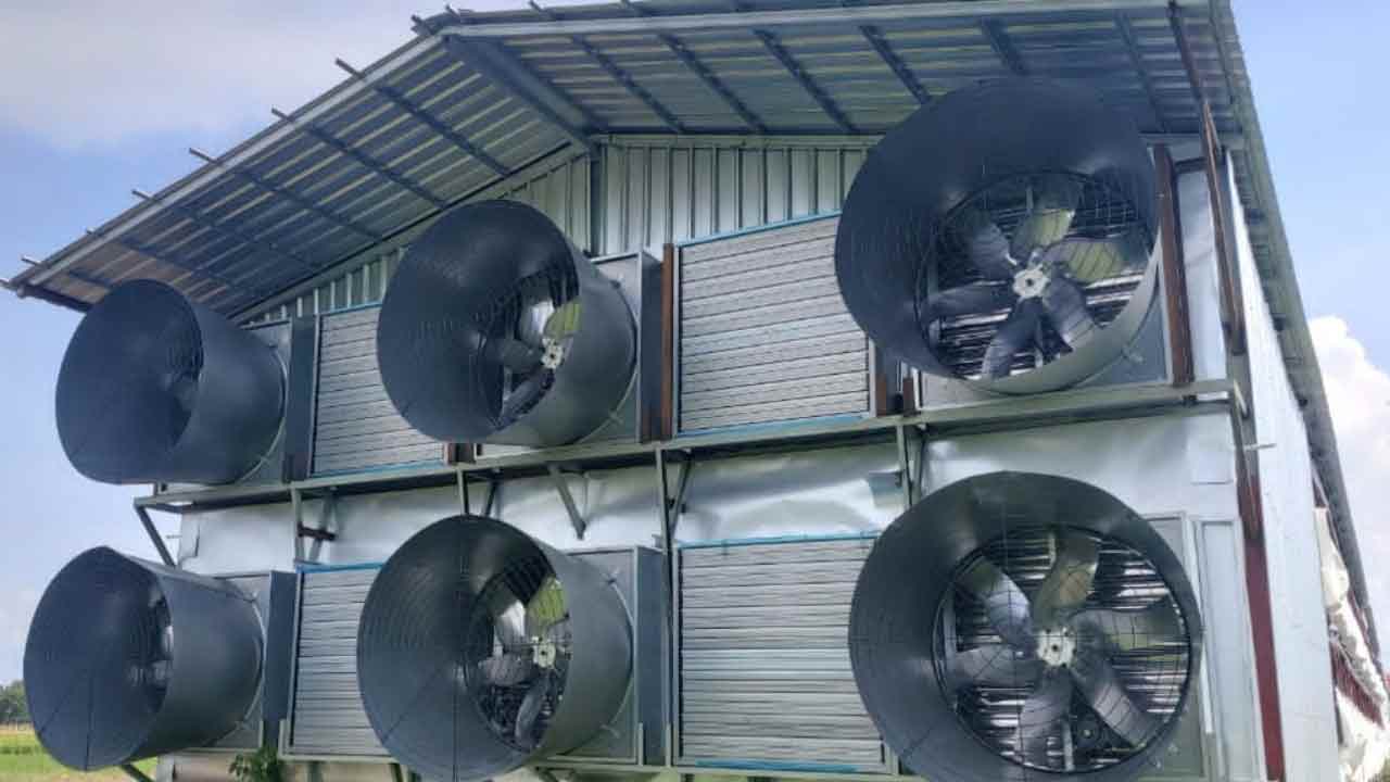 kandang closed house