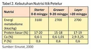kebutuhan nutrisi