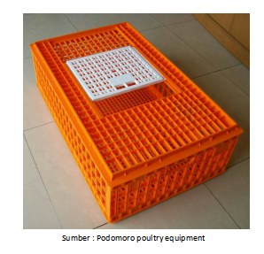 keramba ayam plastik