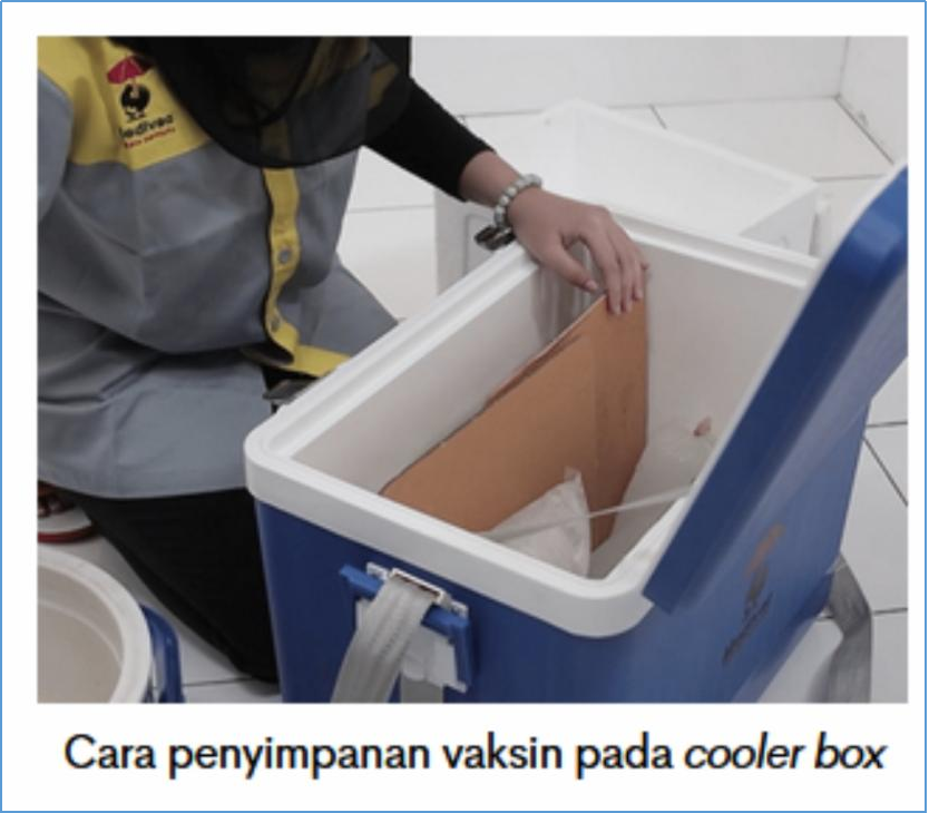 cara menyimpan vaksin pada cooler box