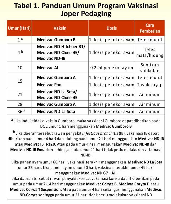 jadwal vaksin joper
