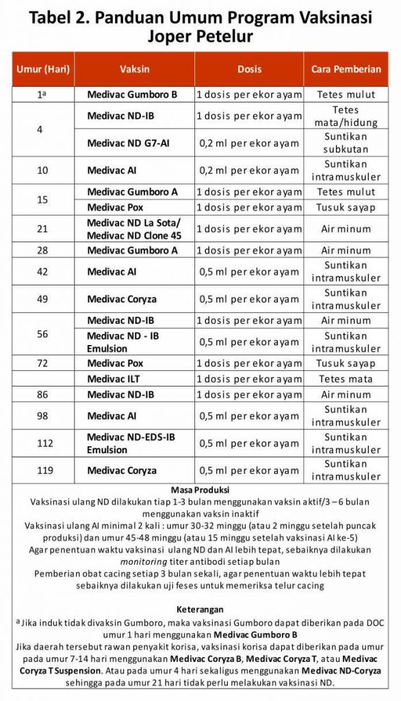 jadwal vaksin joper petelur