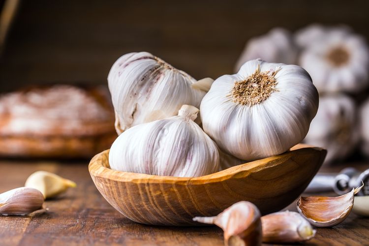 manfaat bawang putih untuk peternakan ayam