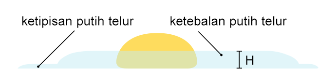 indeks putih dan kuning telur