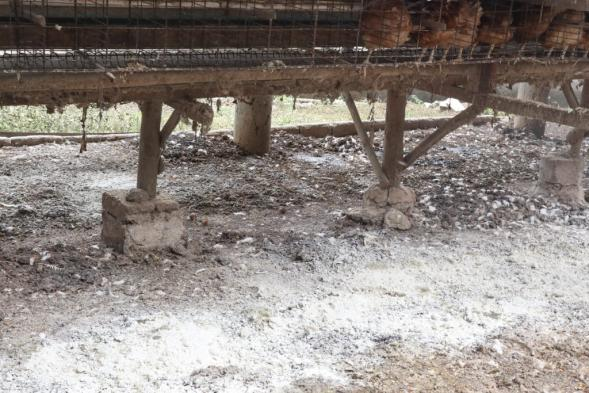 batu kapur dan ziolit