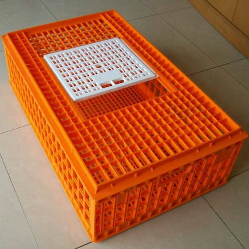 keranjang ayam plastik